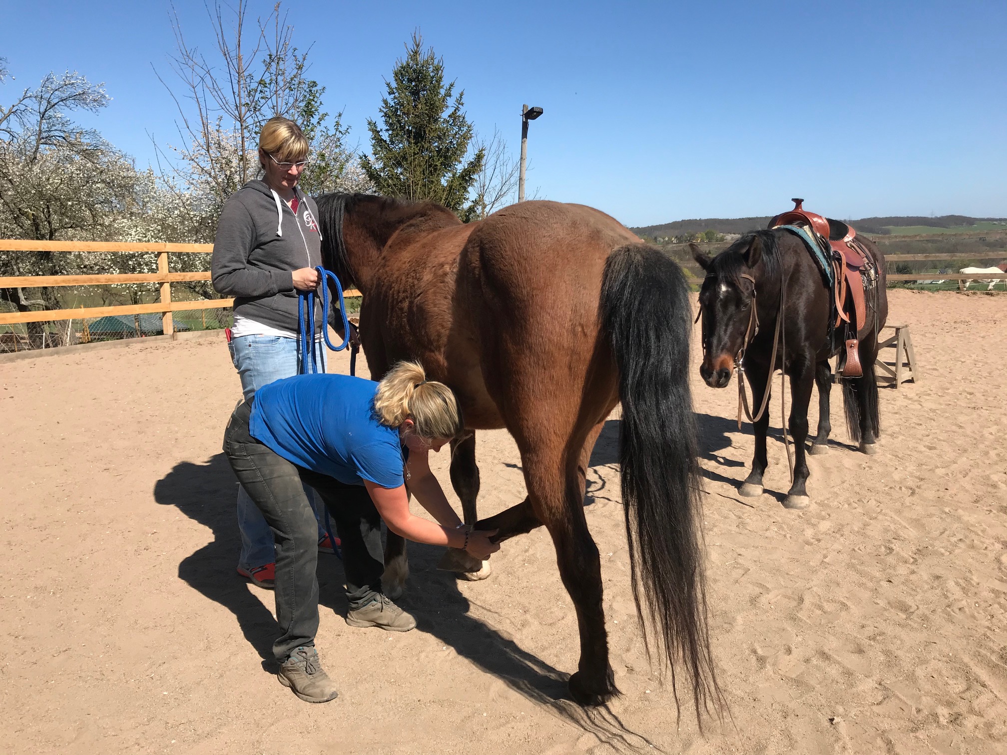 Osteopathiebehandlung